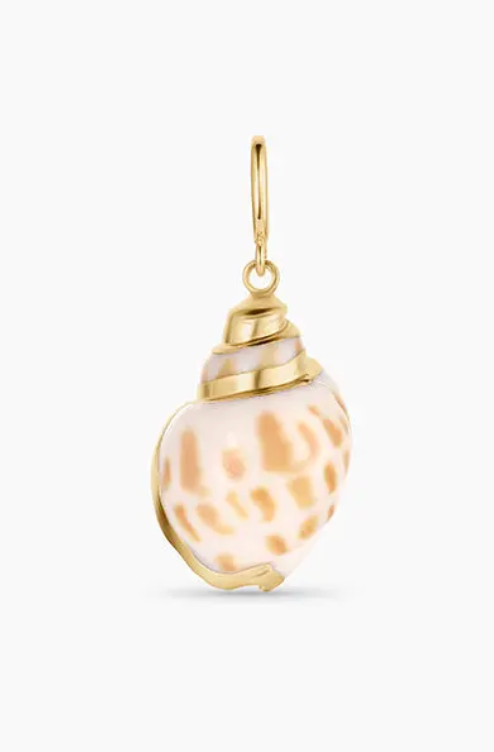 Tulip Shell Parker Charm