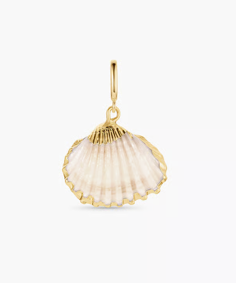 Scallop Shell Parker