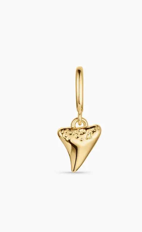 Shark Tooth Charm