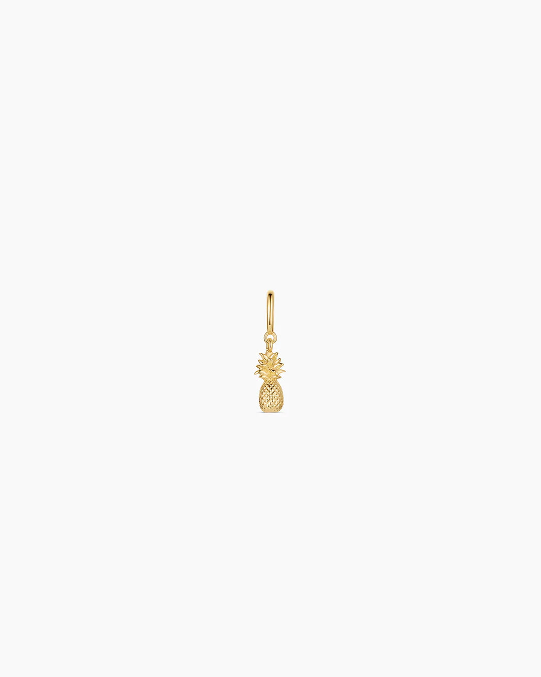 Pineapple Charm