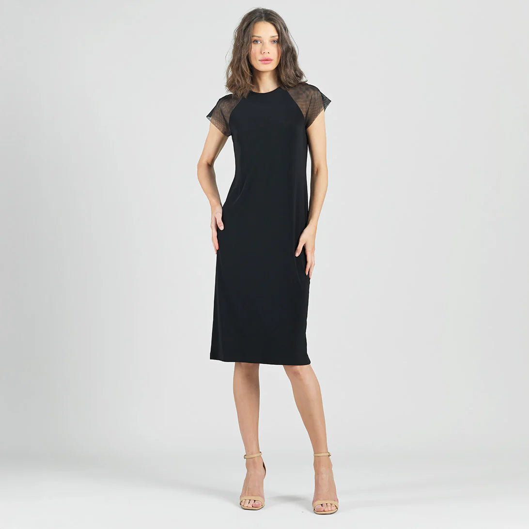 Mesh Cap Sleeve Dress