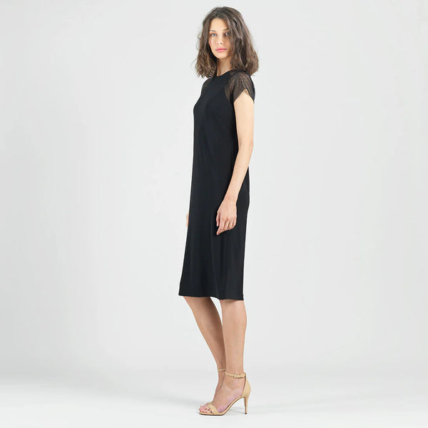 Mesh Cap Sleeve Dress