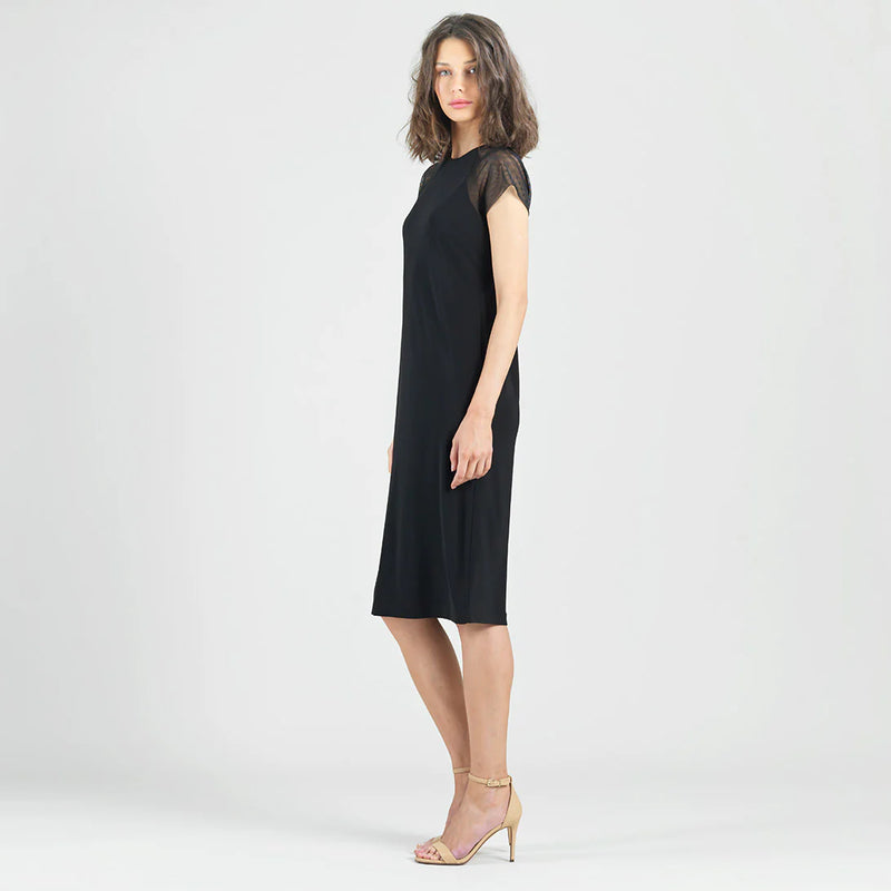 Mesh Cap Sleeve Dress