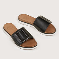 Perry Slide