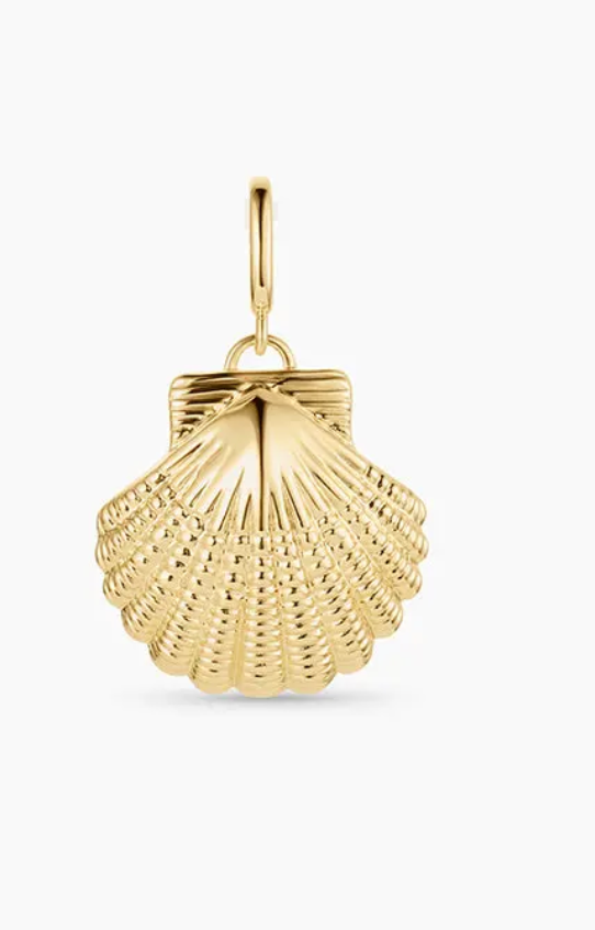 Gold Scallop Shell