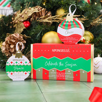 Holiday Ornament Gift Set